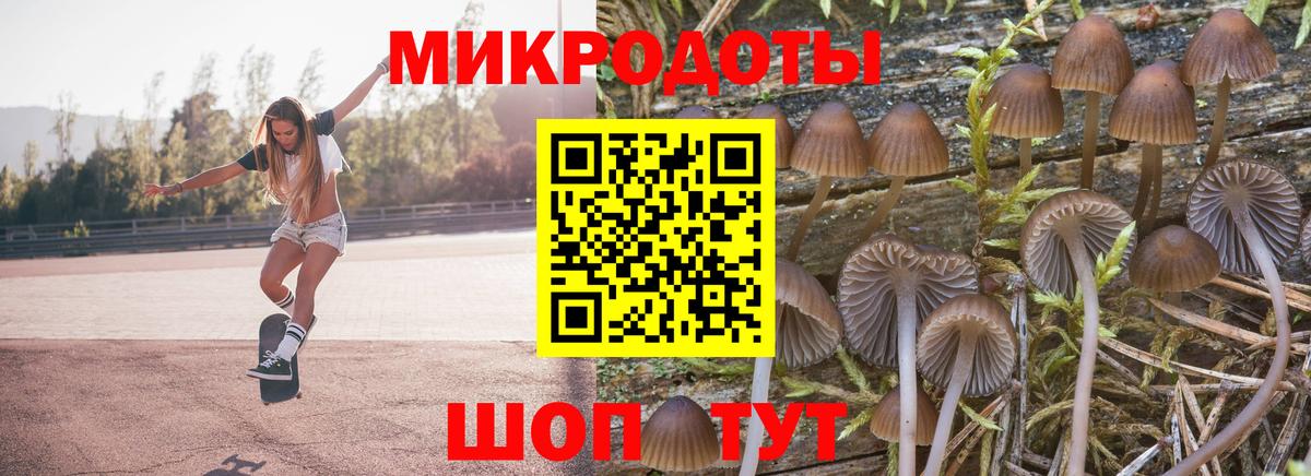 Псилоцибиновые грибы мухоморы Пенза